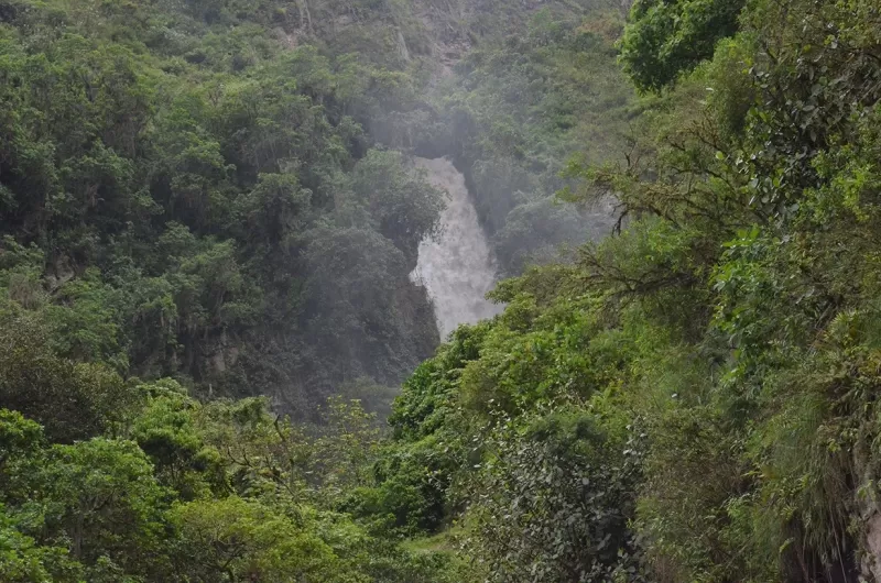 Salto Lirgua